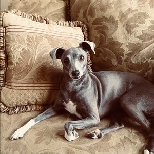 Meet your Posher, Valerie